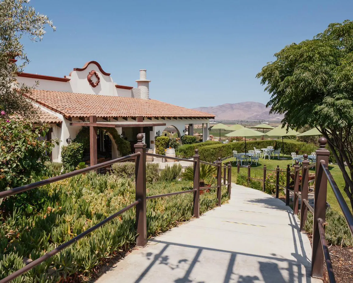 Hacienda Guadalupe vineyard